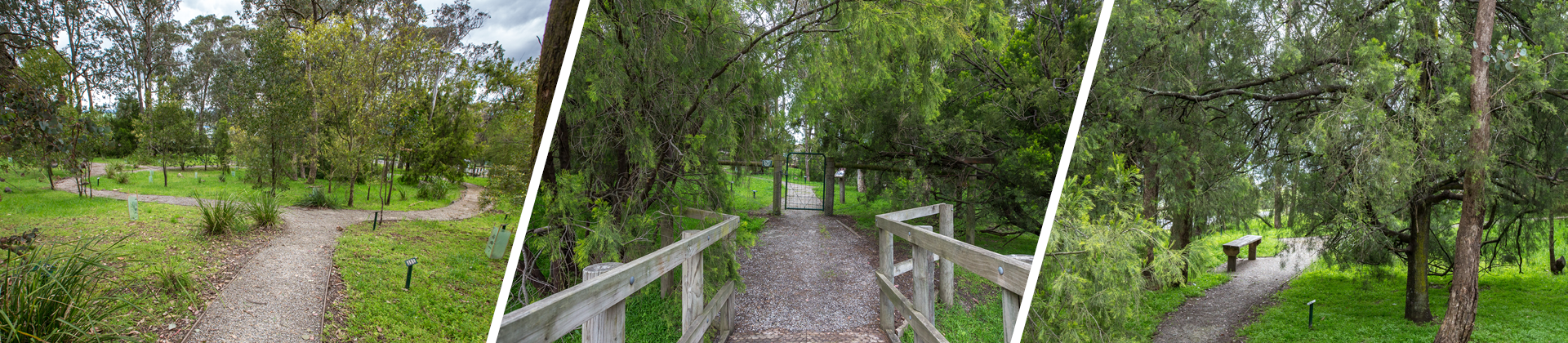 Jean Galbraith Reserve Banner