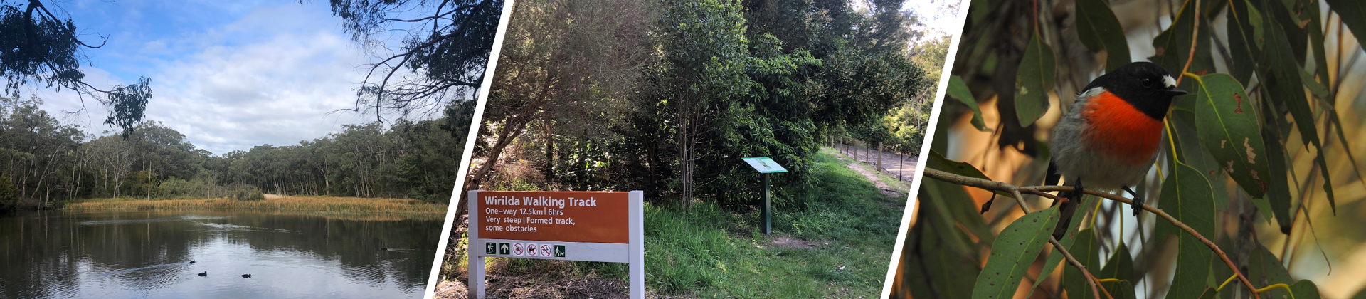 Latrobe Reserves and Walking Trails Banner