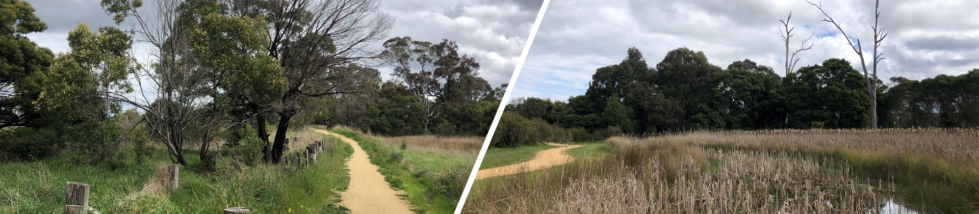 Toongabbie Wetlands Banner