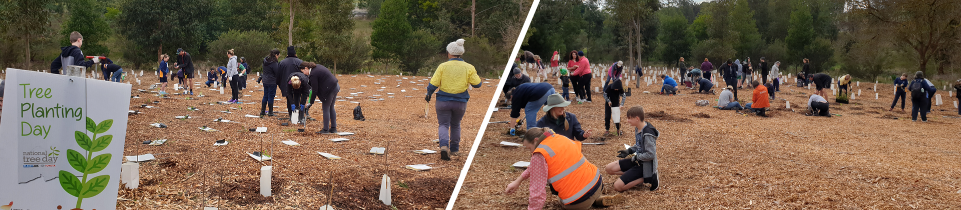 Tree Planting Day Banner