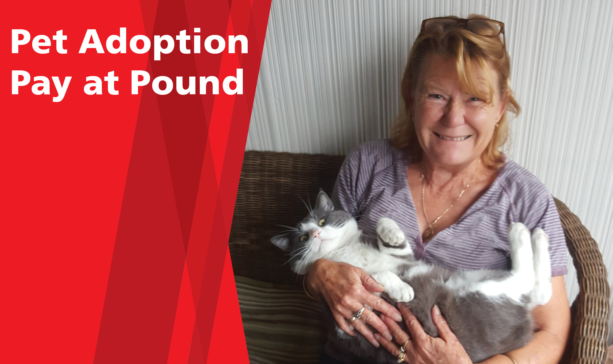 Pet Adoption Pay at Pound Community Reflection