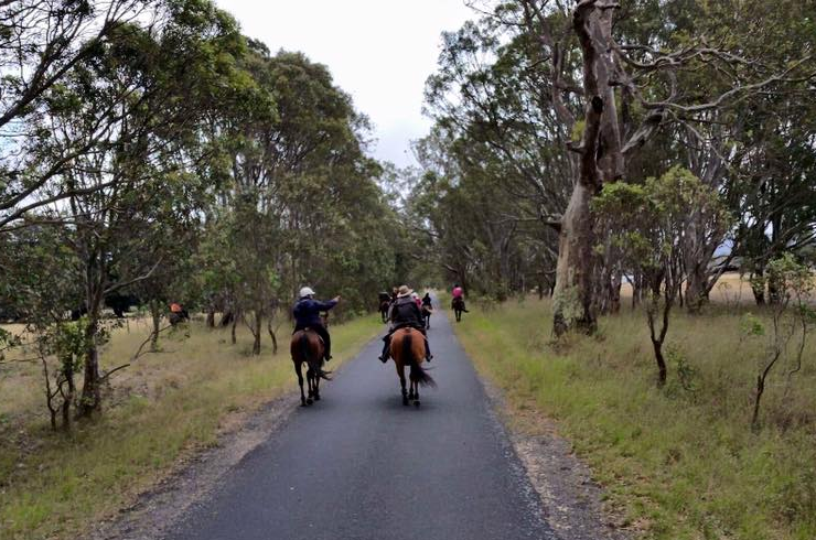 Horse endurance ride held annually in Toongabbie