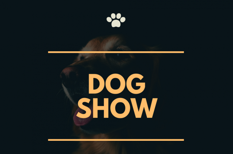 Dog Show