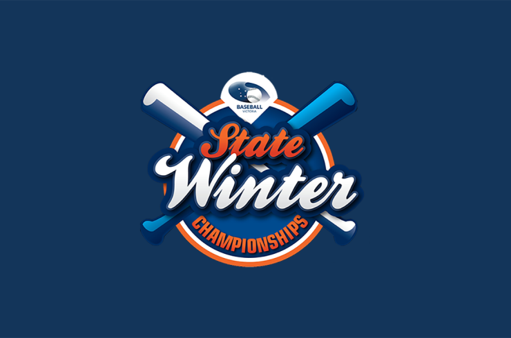 Winter baseball logo