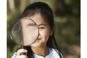 Climate watch walk